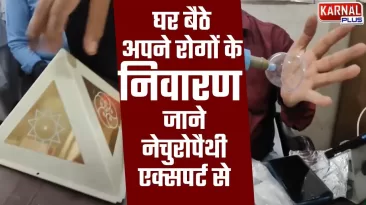 नेचुरोपैथी