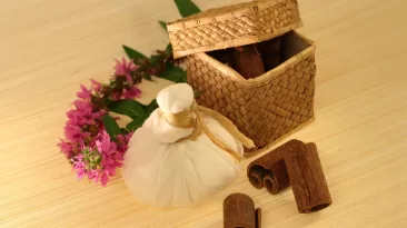 आयुर्वेद