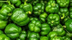 शिमला मिर्च के फायदे